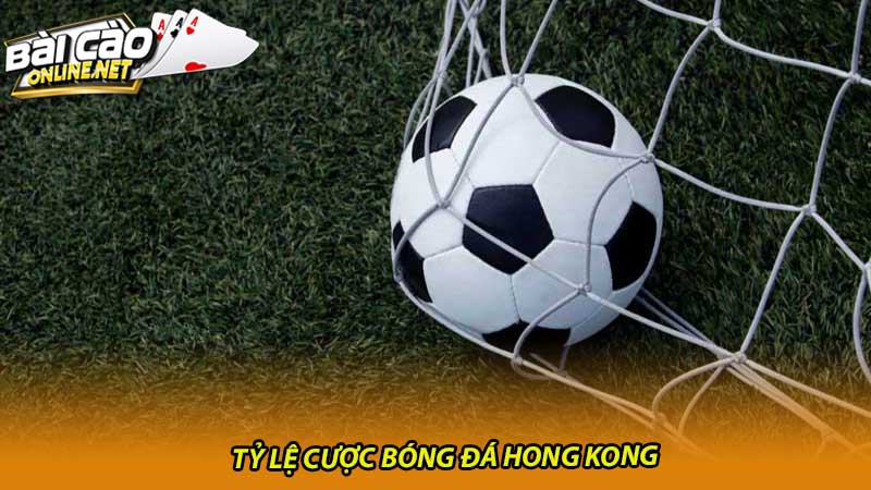 Bật mí cách chọn lựa Tỷ lệ cược bóng đá HK phù hợp nhất cho bạn