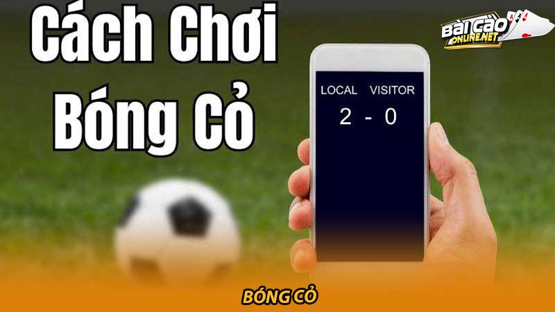 Mẹo Chơi Bóng Cỏ Bí Quyết Chiến Thắng Trên Sân Cỏ Xanh